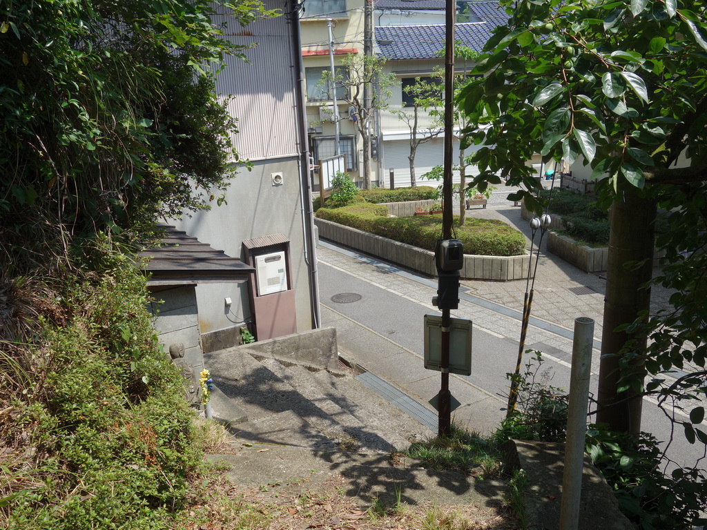 f:id:Hanamaru:20210802104715j:plain
