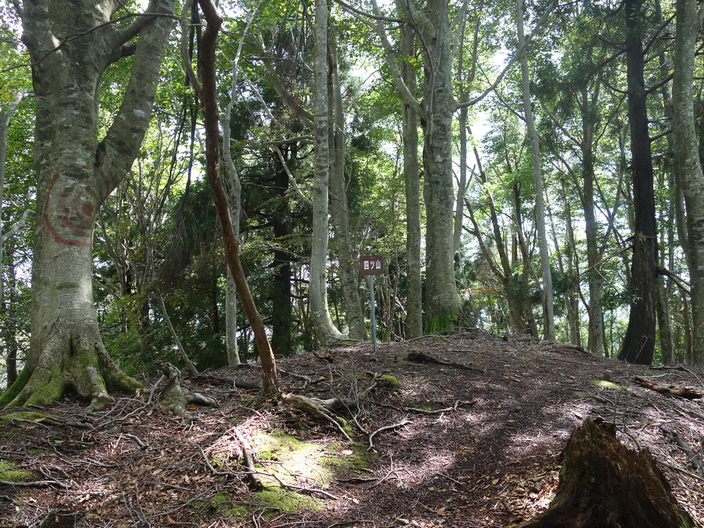 f:id:Hanamaru:20210920102731j:plain