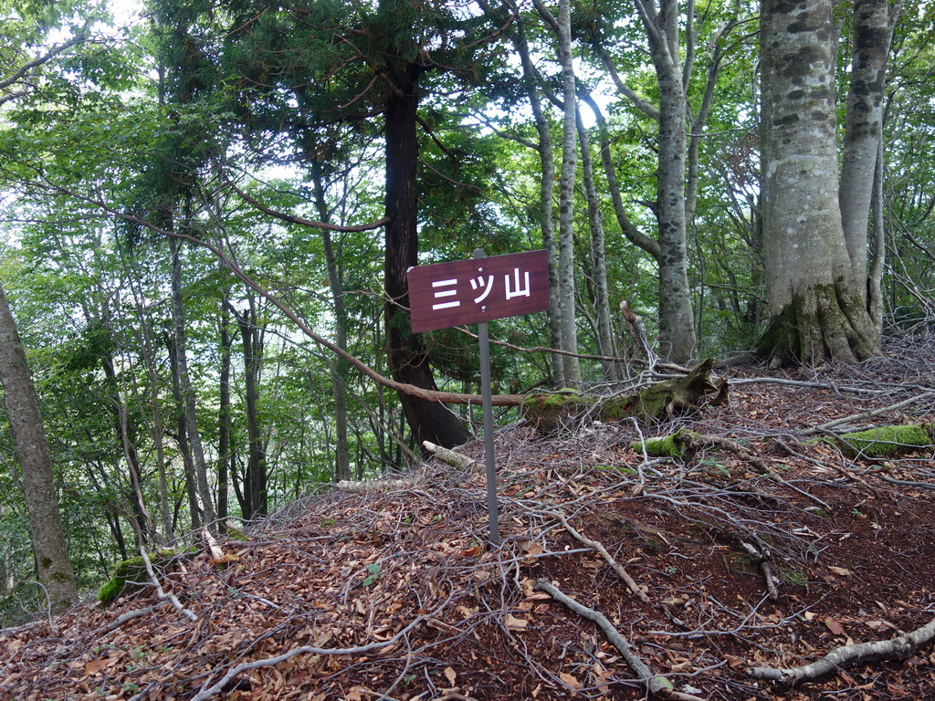 f:id:Hanamaru:20210920103050j:plain