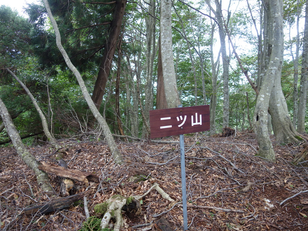 f:id:Hanamaru:20210920103935j:plain