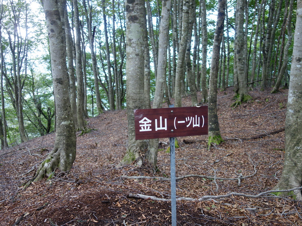 f:id:Hanamaru:20210920104827j:plain