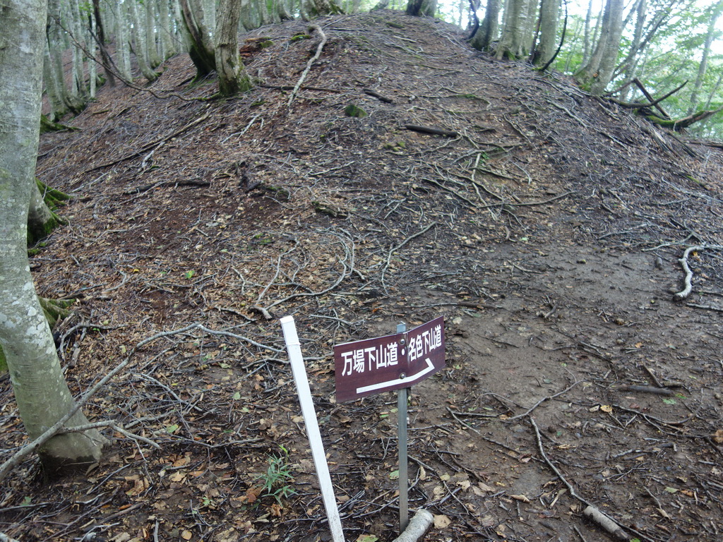 f:id:Hanamaru:20210920105359j:plain