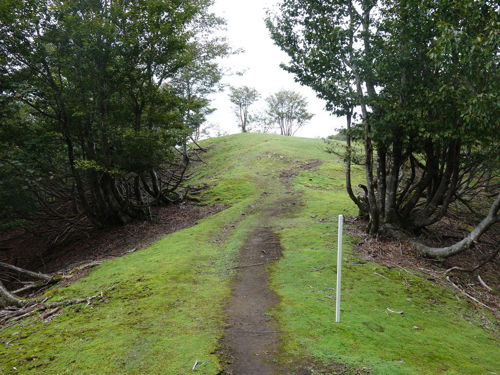 f:id:Hanamaru:20210920112111j:plain