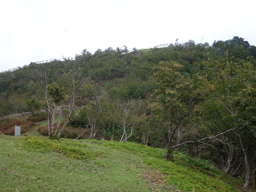 f:id:Hanamaru:20210920112138j:plain