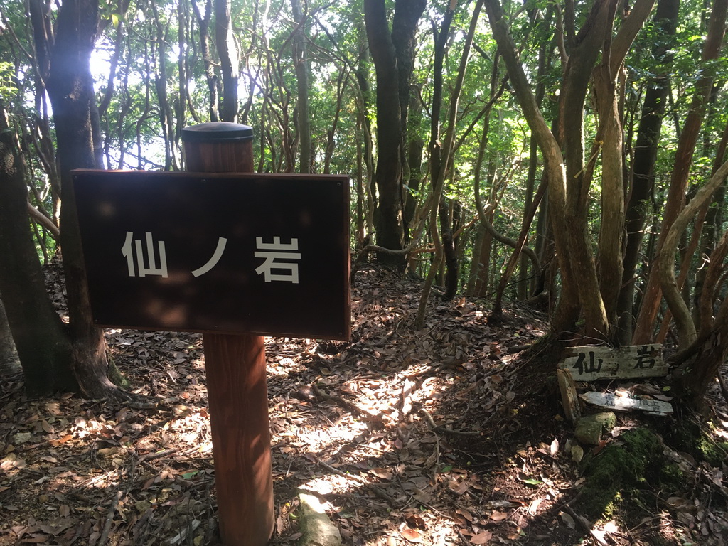 f:id:Hanamaru:20210923134729j:plain