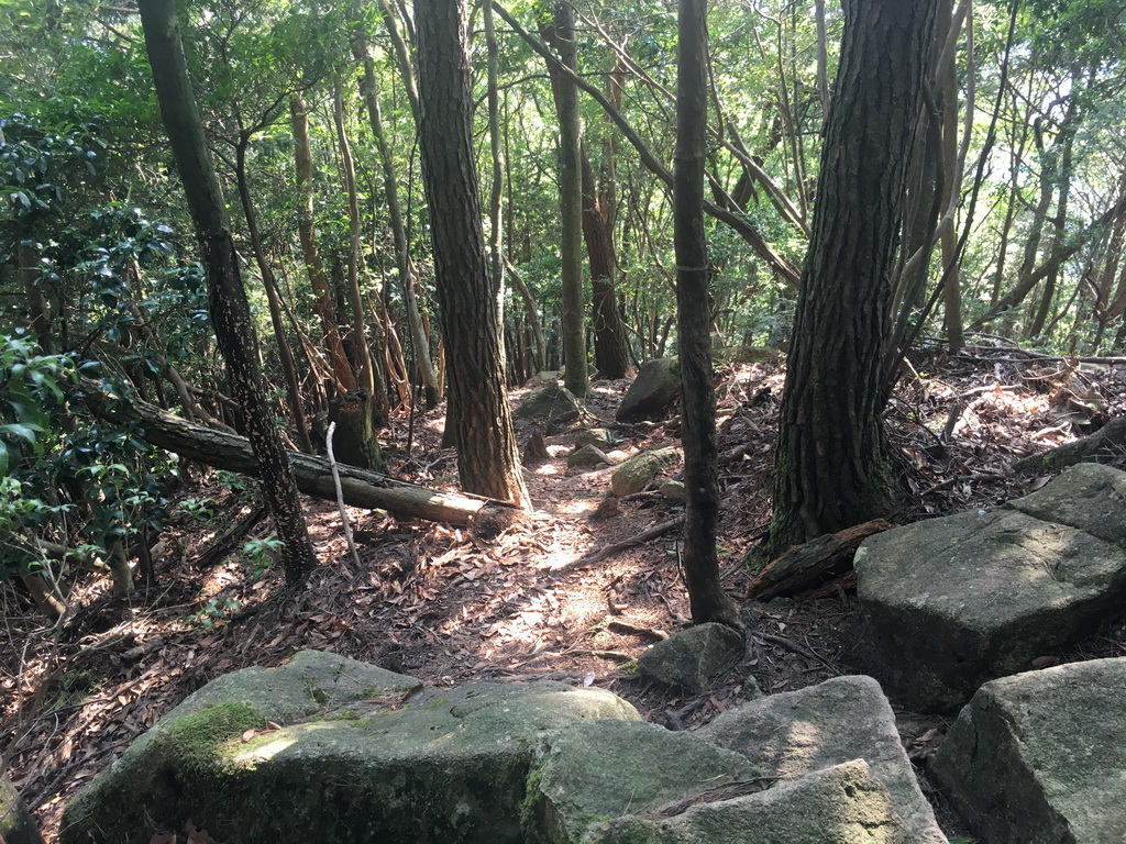 f:id:Hanamaru:20210923135441j:plain