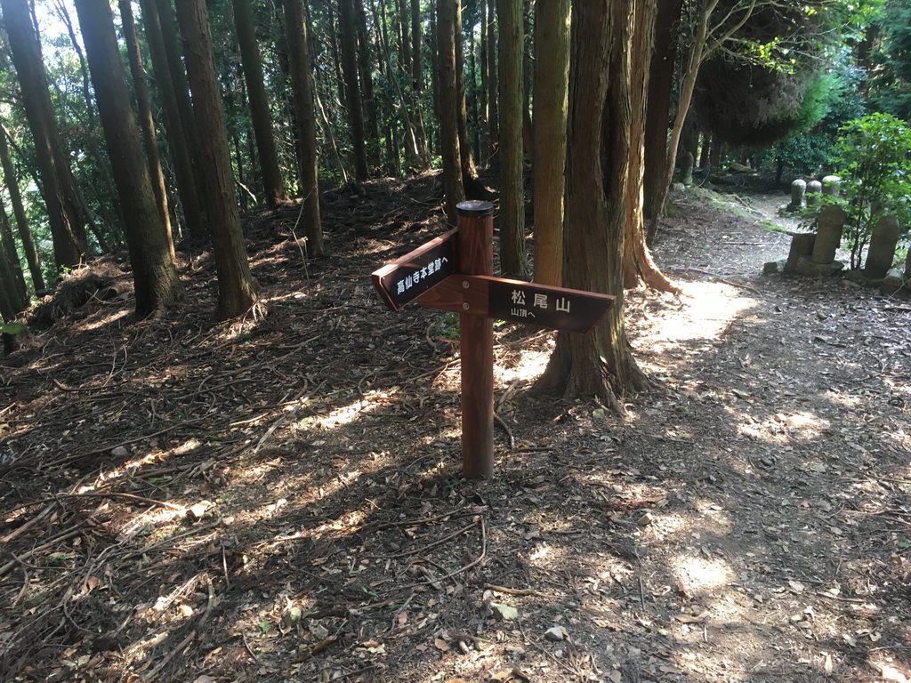 f:id:Hanamaru:20210923135951j:plain