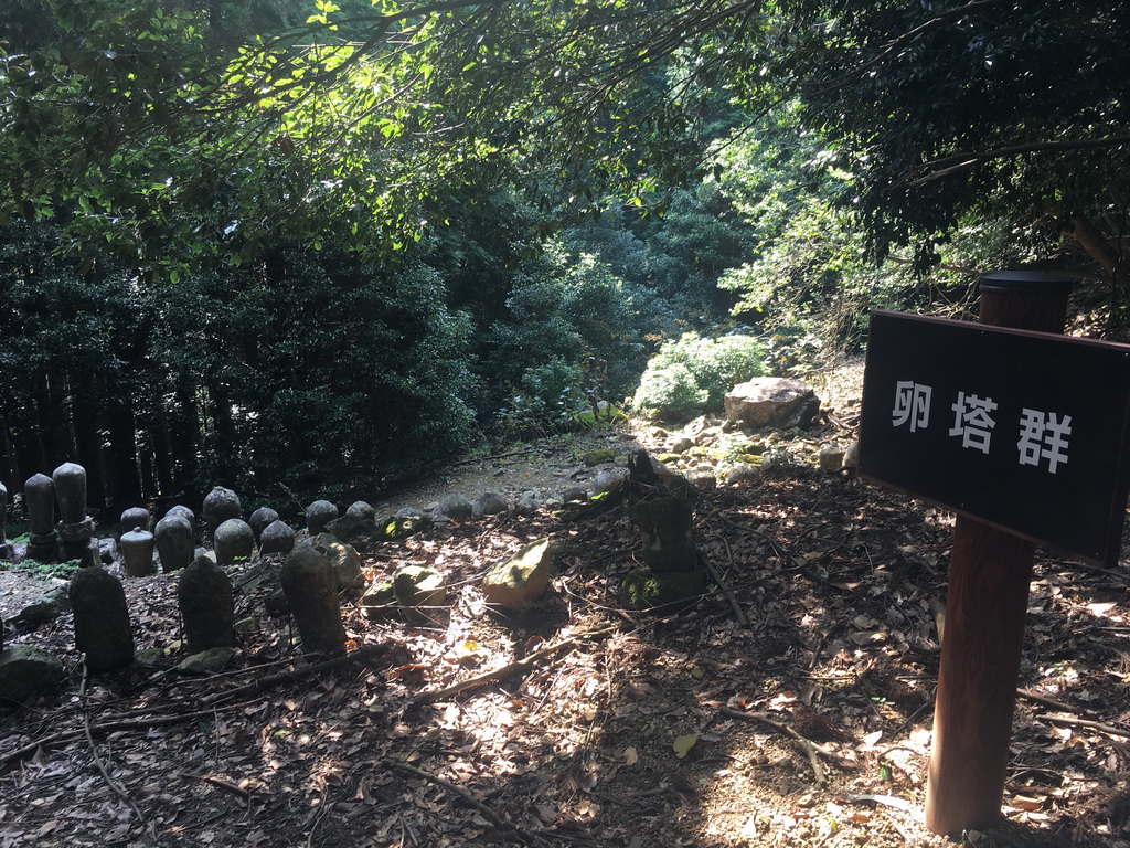 f:id:Hanamaru:20210923140000j:plain