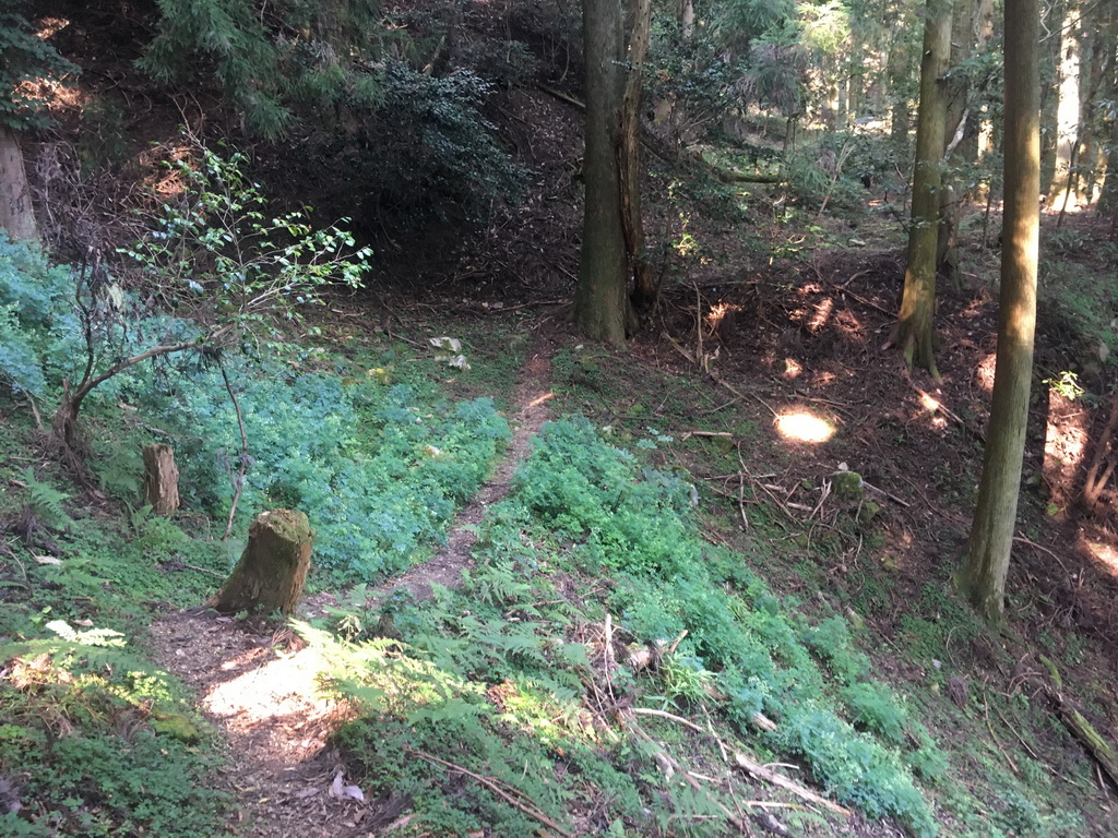 f:id:Hanamaru:20210923140533j:plain