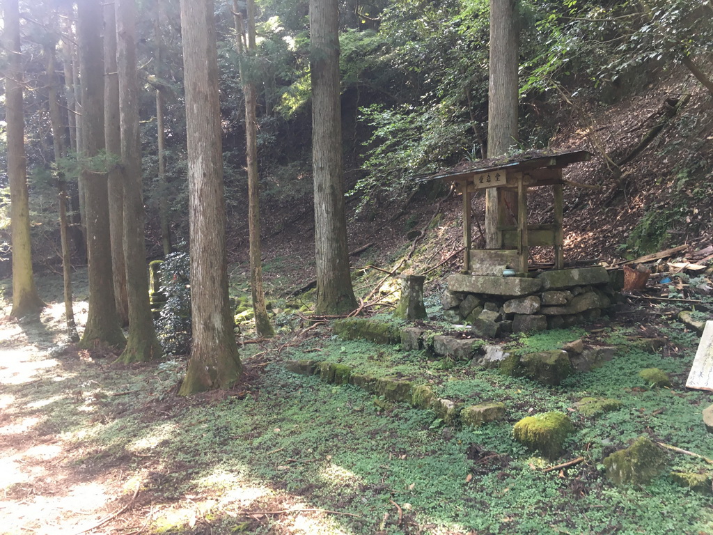 f:id:Hanamaru:20210923140658j:plain