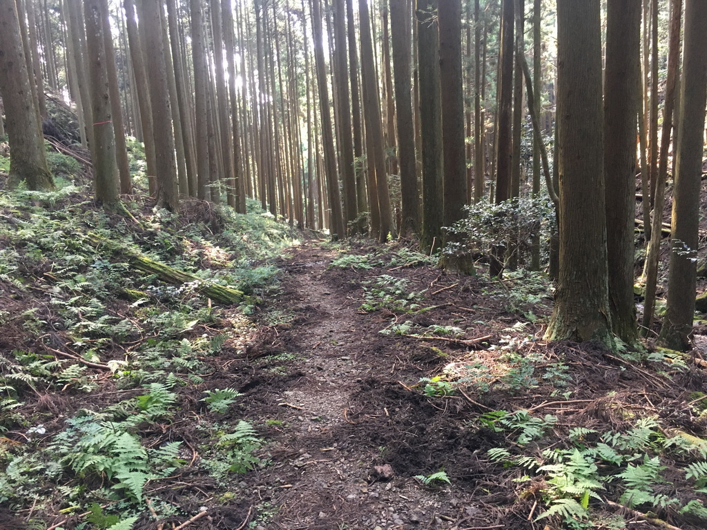 f:id:Hanamaru:20210923142951j:plain