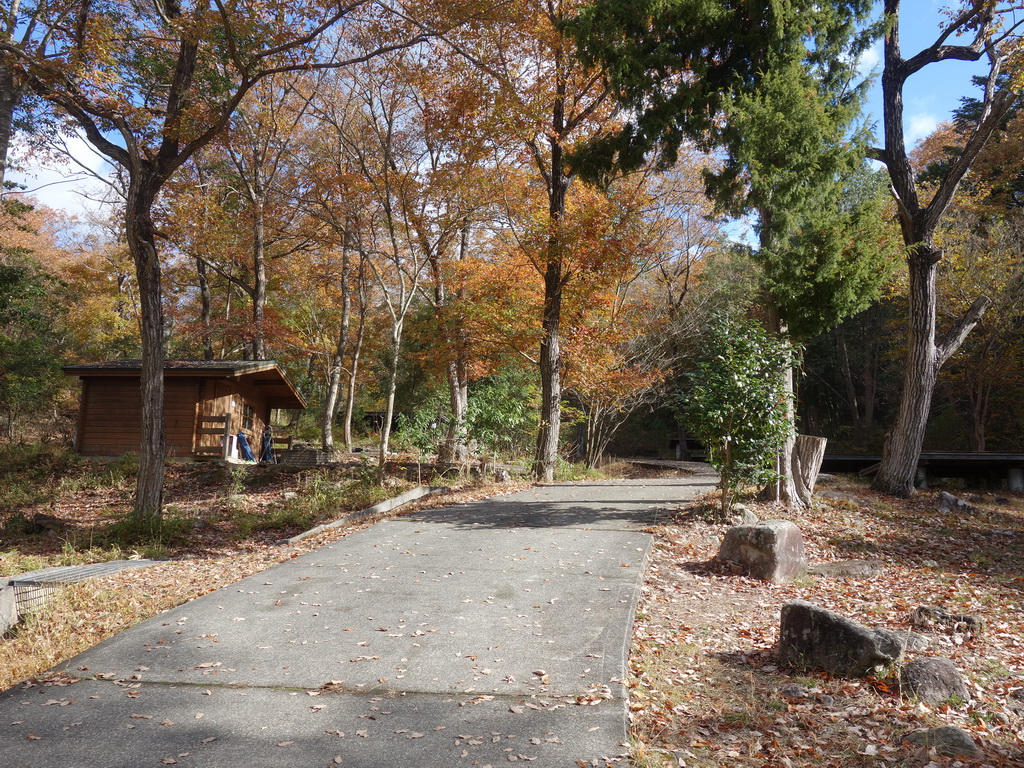 f:id:Hanamaru:20211128112723j:plain