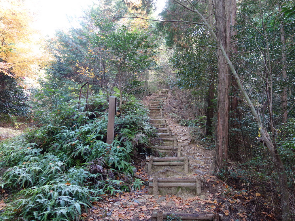 f:id:Hanamaru:20211128113702j:plain