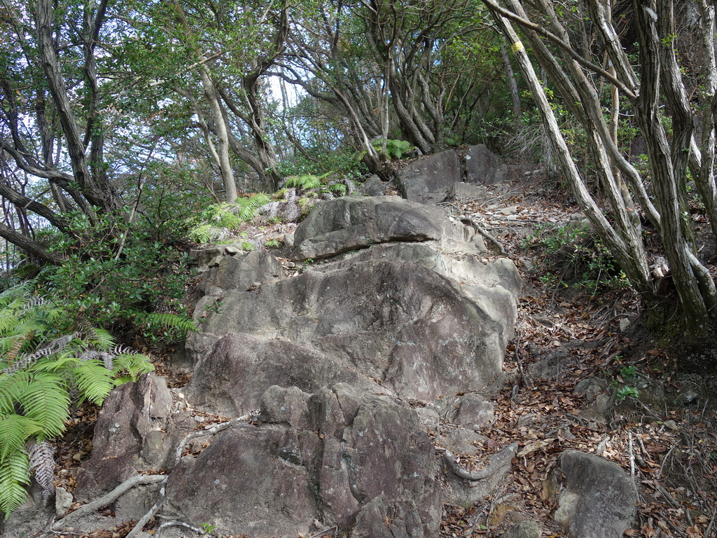 f:id:Hanamaru:20211128115017j:plain