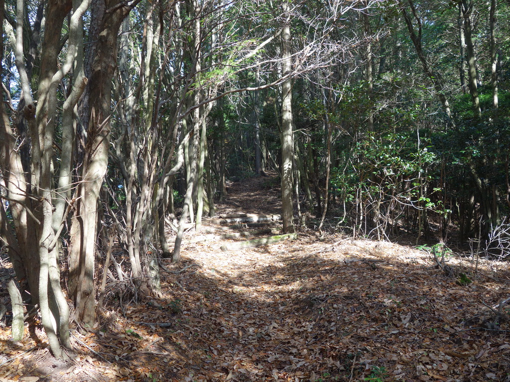 f:id:Hanamaru:20211128122847j:plain