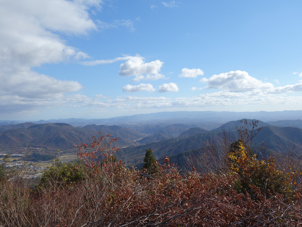 f:id:Hanamaru:20211128131420j:plain