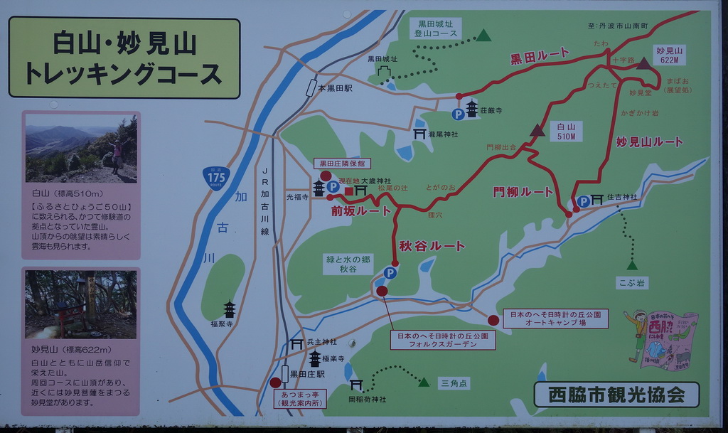 f:id:Hanamaru:20220103093931j:plain