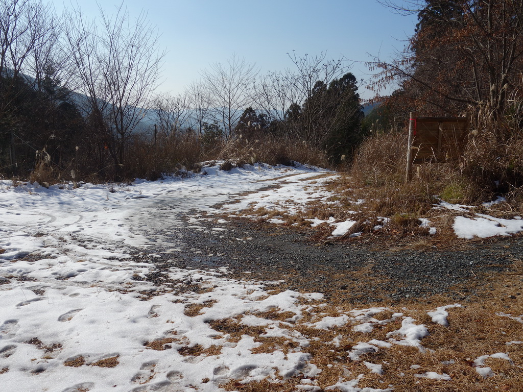 f:id:Hanamaru:20220103132913j:plain