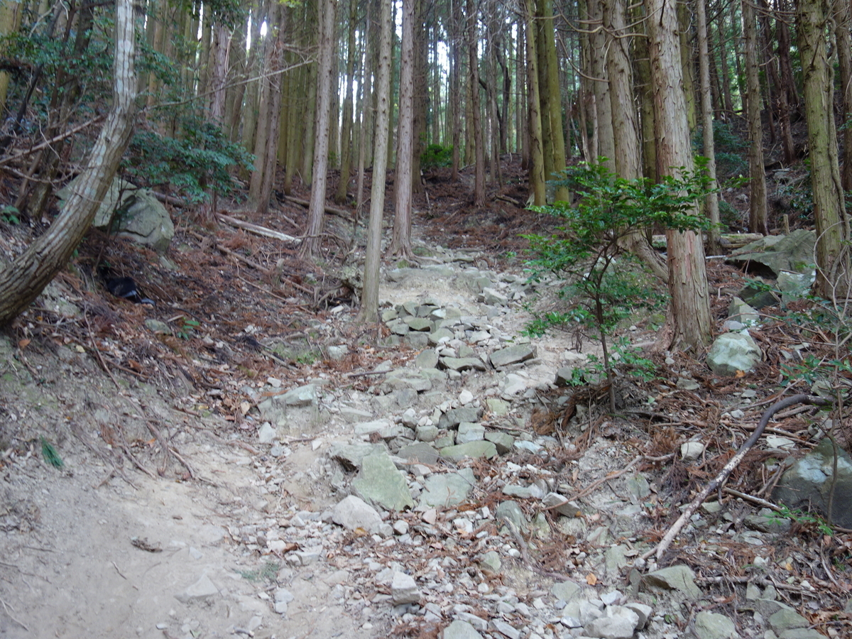 f:id:Hanamaru:20220109115356j:plain