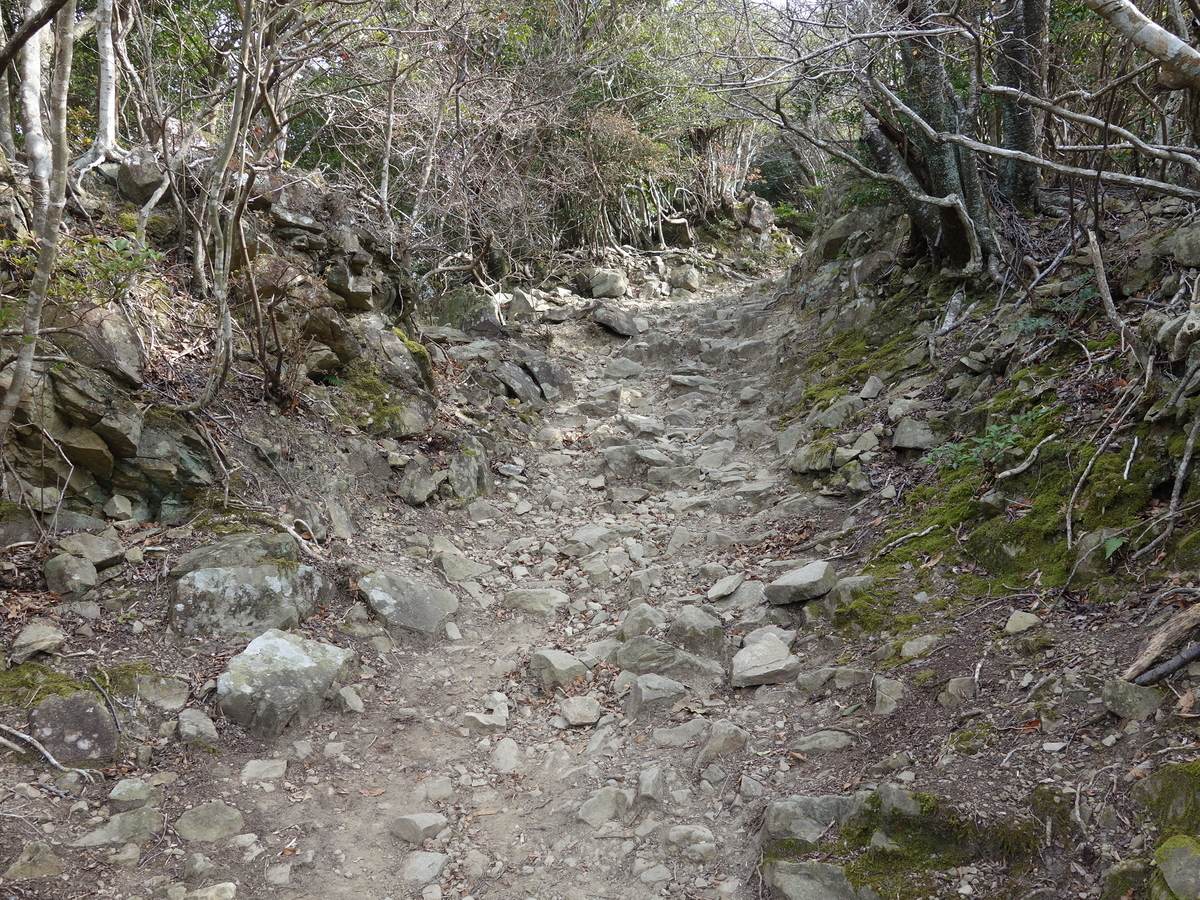 f:id:Hanamaru:20220109120847j:plain