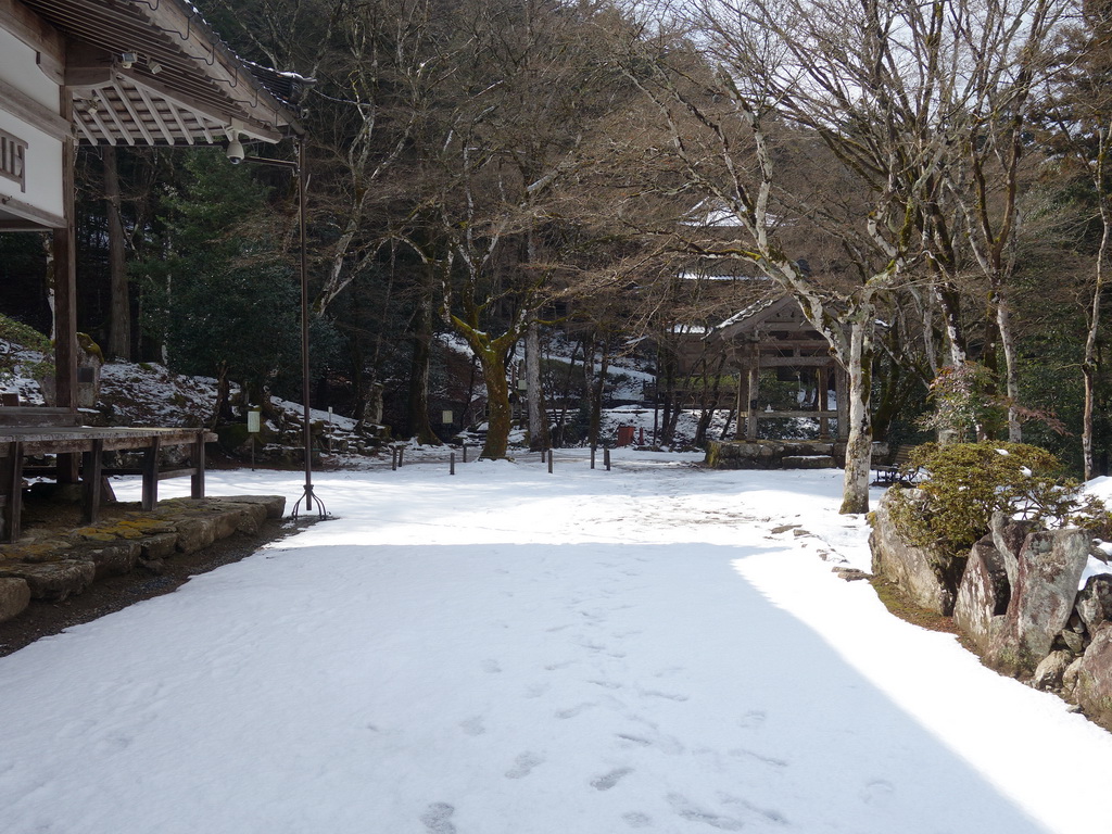 f:id:Hanamaru:20220220111758j:plain