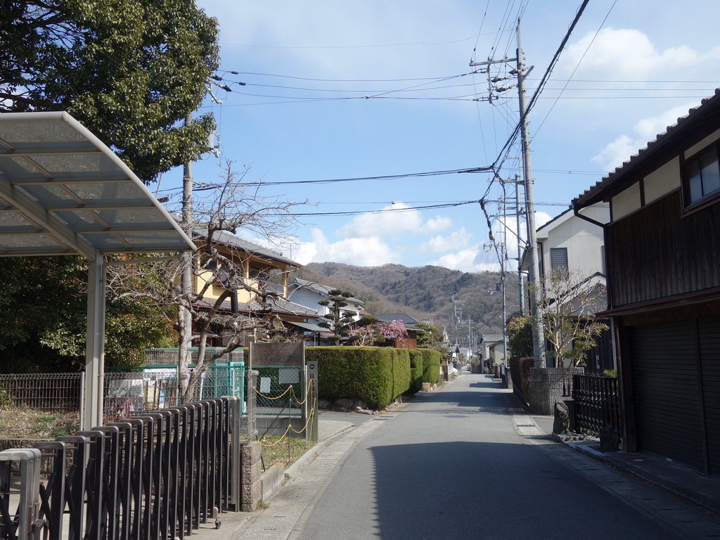 f:id:Hanamaru:20220306130910j:plain