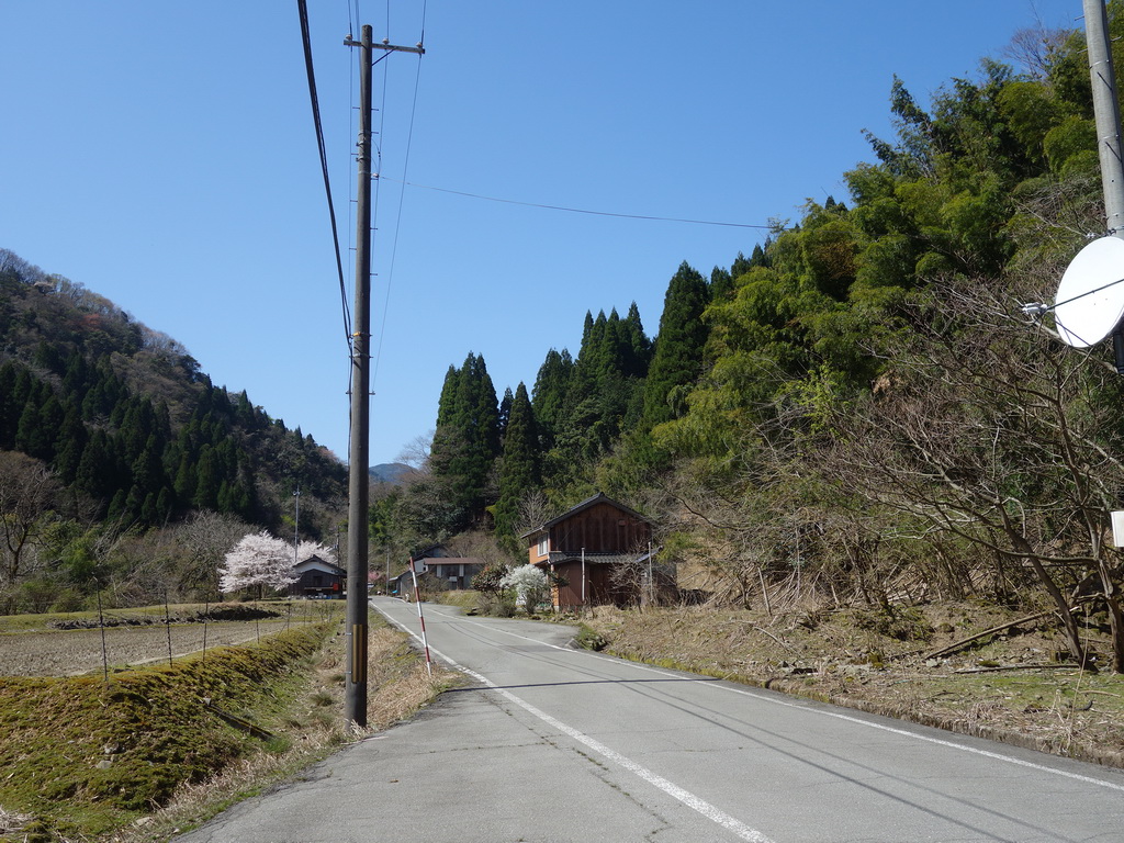 f:id:Hanamaru:20220409100826j:plain