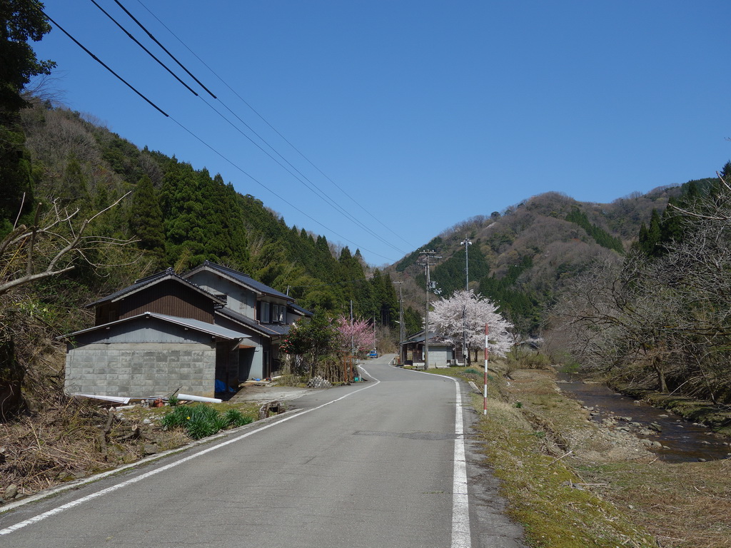 f:id:Hanamaru:20220409124538j:plain