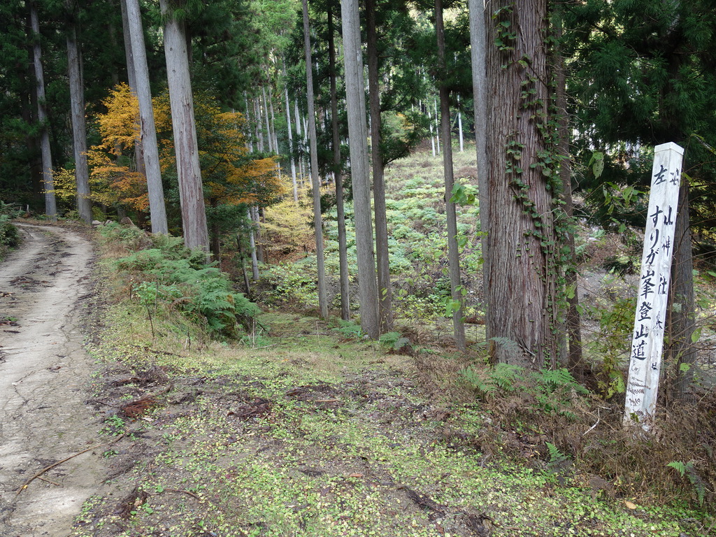 須留ヶ峰へのハイク(その1)ササケ谷 - Hanamaru blog