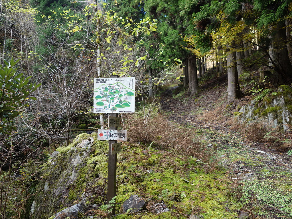 須留ヶ峰へのハイク(その1)ササケ谷 - Hanamaru blog