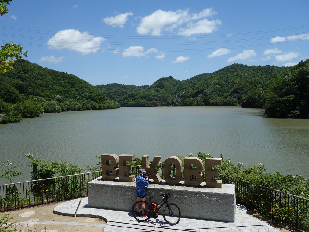 シビレ山～丹生山のハイク（その3）丹生山からコウモリ谷東尾根