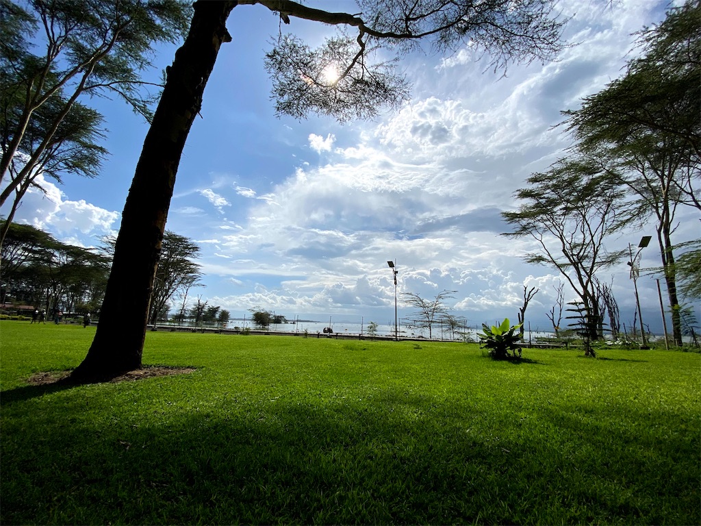 f:id:Hanapyons:20201202193540j:image