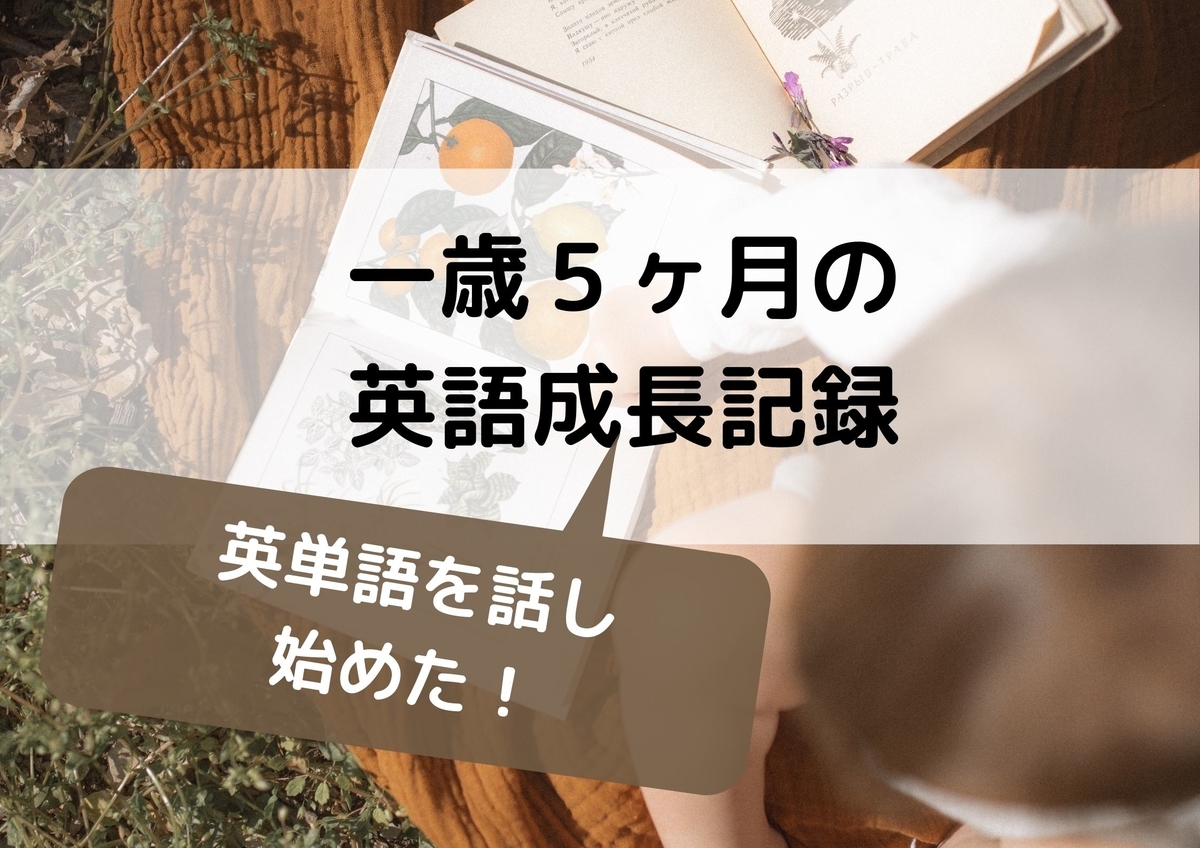 一歳5ヶ月の娘の英語成長記録 自宅で英語学習 今日からできるおうち英語 一歳5ヶ月の娘の英語成長記録 自宅で英語学習 今日からできるおうち英語