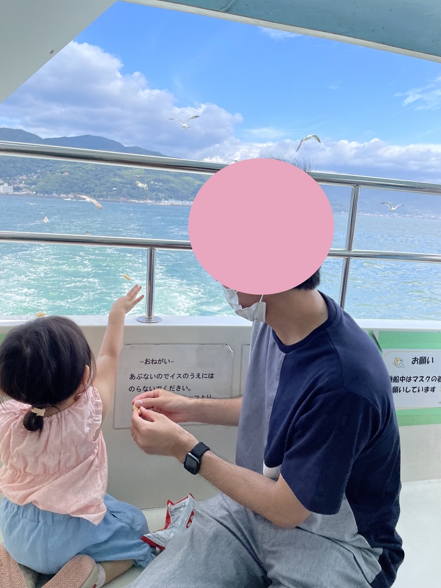 伊東でカモメへの餌やり体験