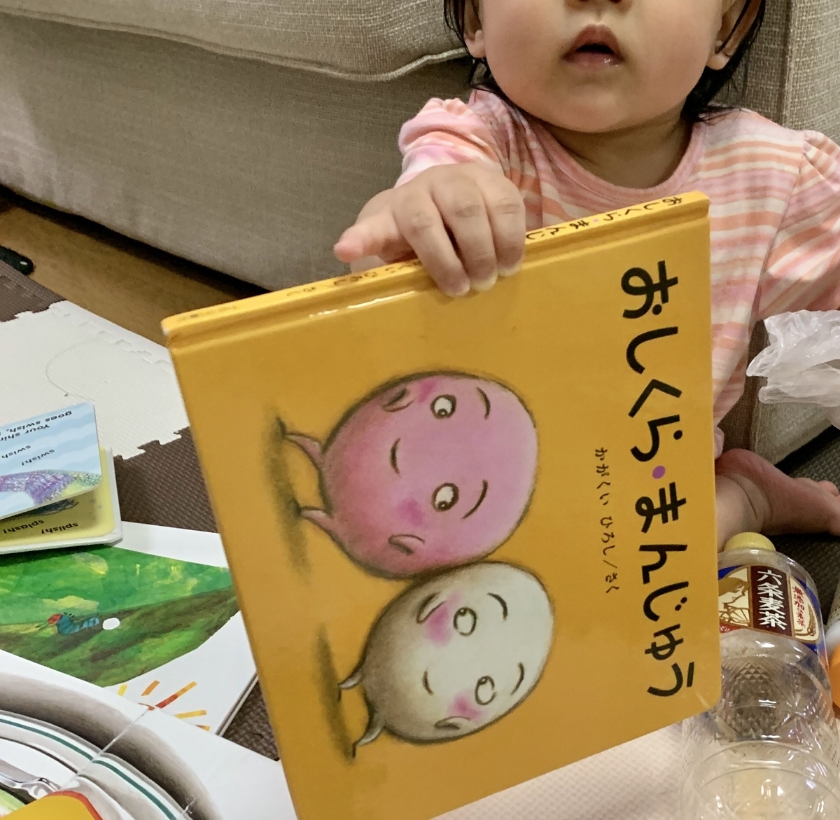 0歳が本当に好きになった絵本10冊