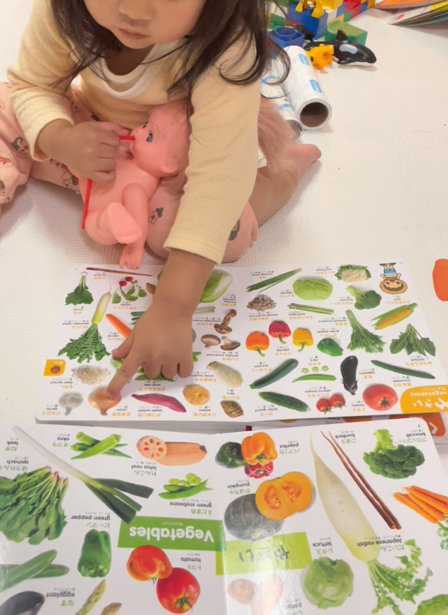 幼児が物を比較できるのは何歳から？1歳 2歳 3歳 4歳の発達