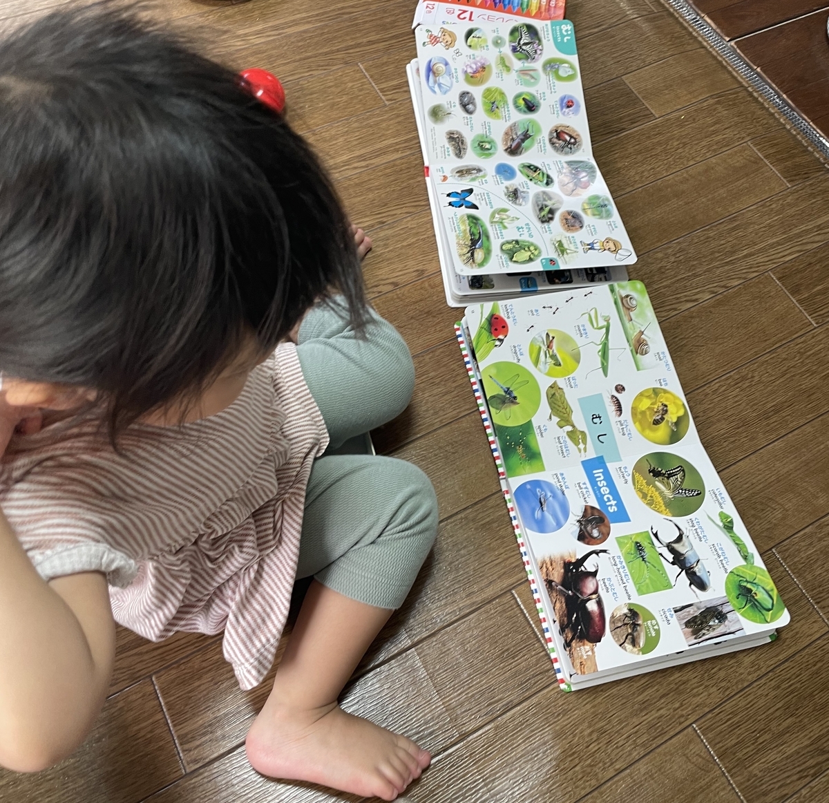 幼児が物を比較できるのは何歳から？1歳 2歳 3歳 4歳の発達