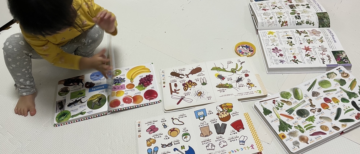 幼児が物を比較できるのは何歳から？1歳 2歳 3歳 4歳の発達