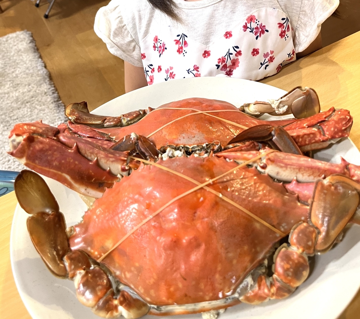 年中の夏休み｜有意義に過ごすために取り組んだ10のこと