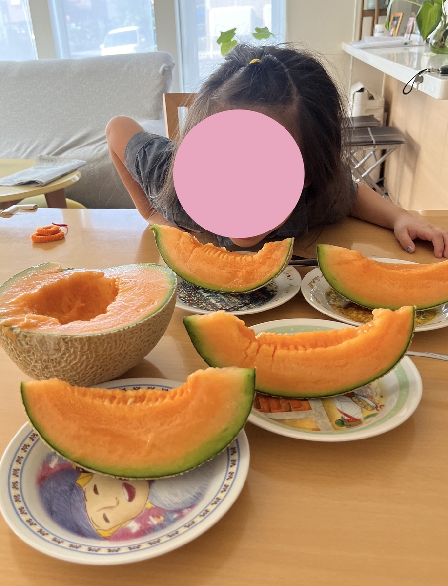 年中の夏休み｜有意義に過ごすために取り組んだ10のこと