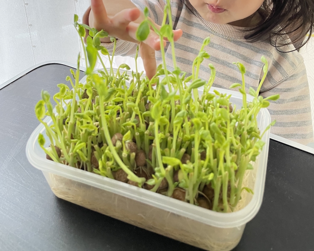 １歳料理のお手伝いまとめ - 楽しく食育