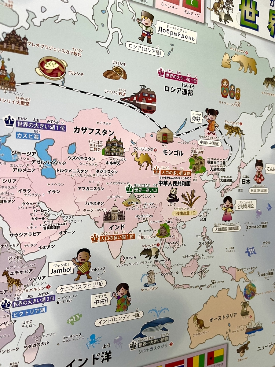 買って良かったおすすめ世界地図