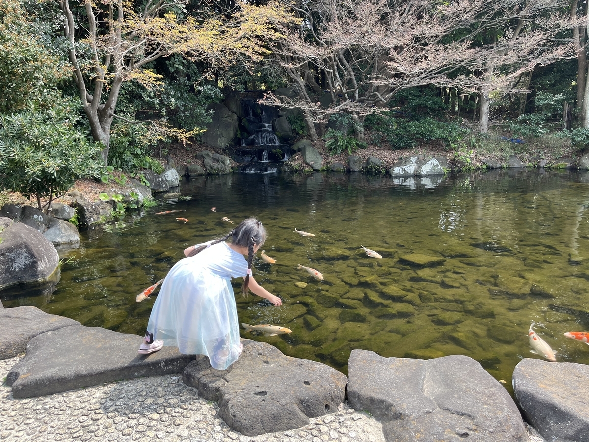 子供と楽しめる関東のおすすめ海スポット4選！