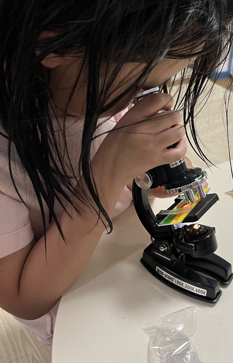 子ども用顕微鏡 「細胞を見たい！」から始まった理科好きへの第一歩
