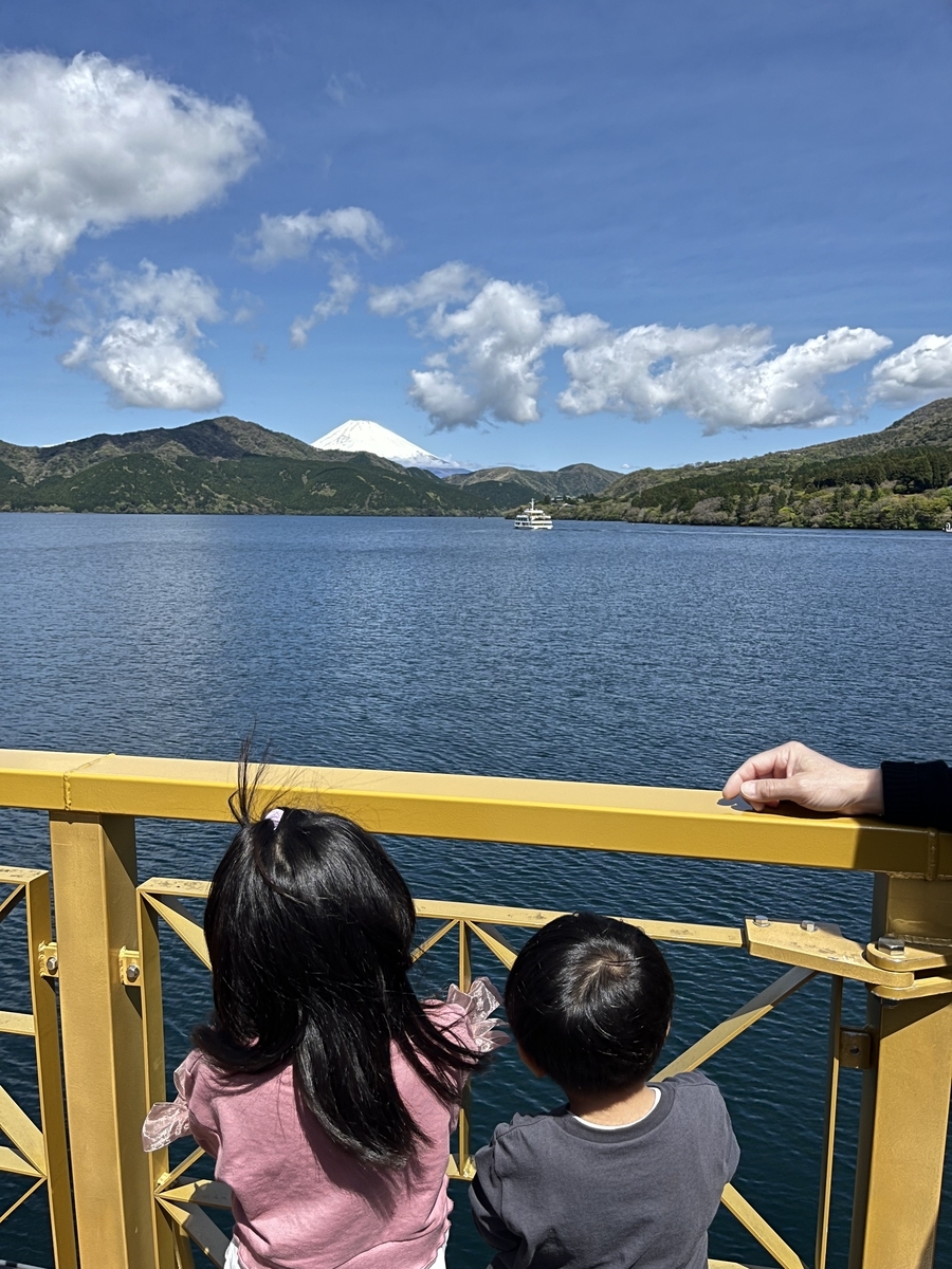 【体験談】箱根子連れ旅行に最適な宿！一棟貸し切りで大人数にも最適