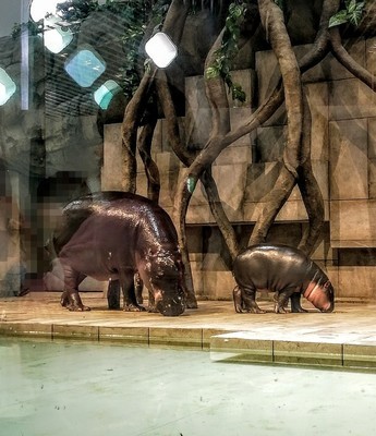 Expocity ニフレル レビュー 土日祝の混雑 周辺の施設等 Nyaoblog