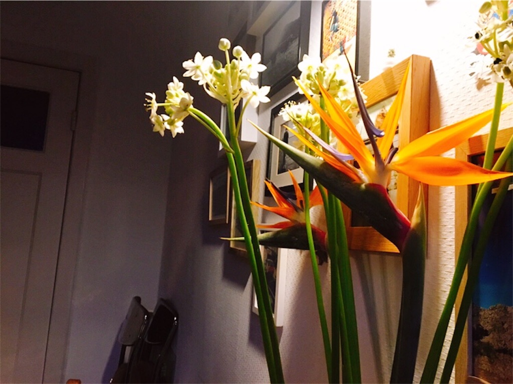 f:id:Handstand:20190930034331j:image