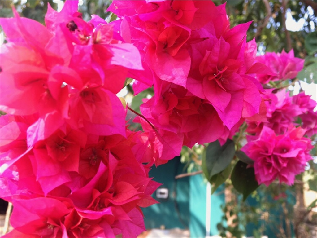 f:id:Handstand:20200313012934j:image