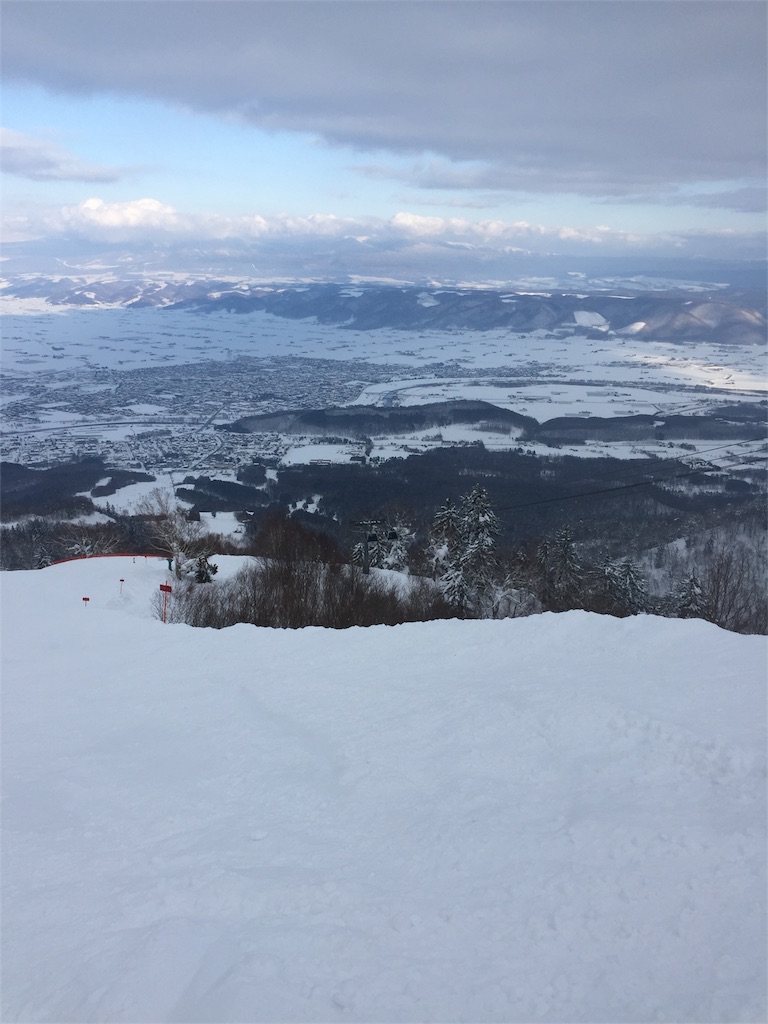 f:id:Hanetuki-Taiyaki:20190221180046j:image