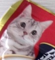 f:id:Hangetsu-Soichi:20160923110401j:plain